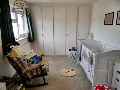 Picture 7
